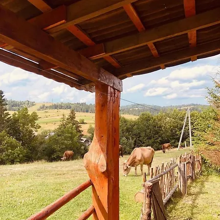 одеса * Podobovets