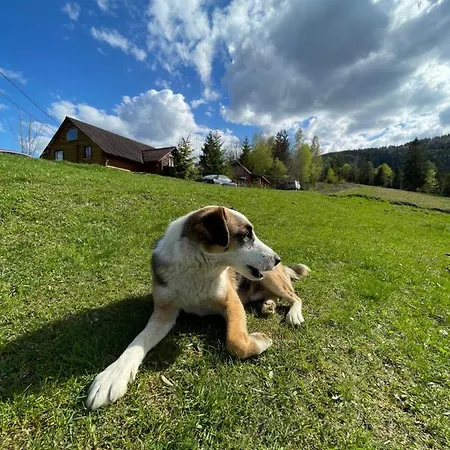 Locanda одеса